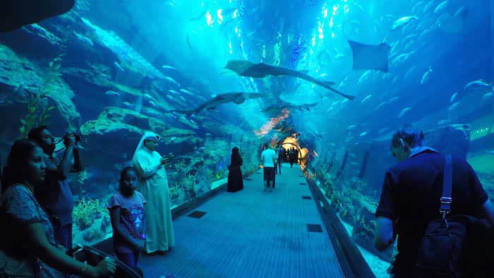 Dubai Aquarium