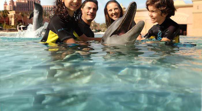 Il delfinario Dolphin Bay a Dubai