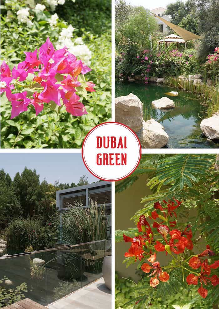Al Barari Dubai