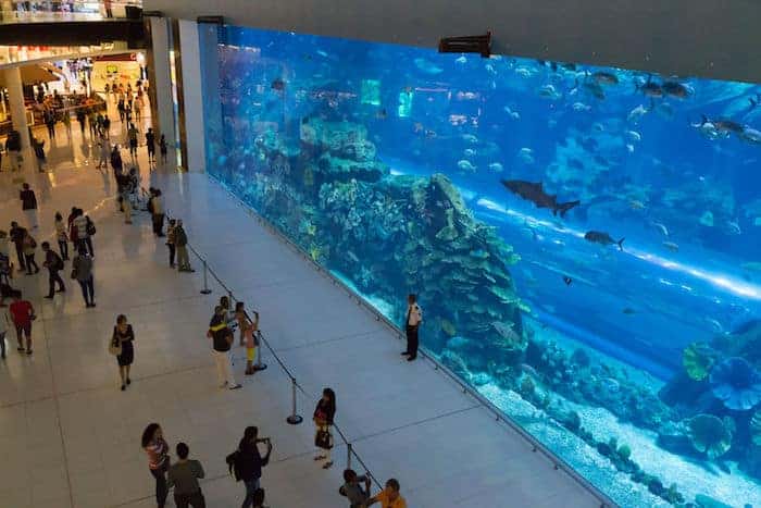 Acquario del Dubai Mall