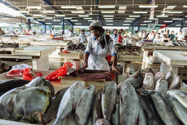 Deira Fish Market