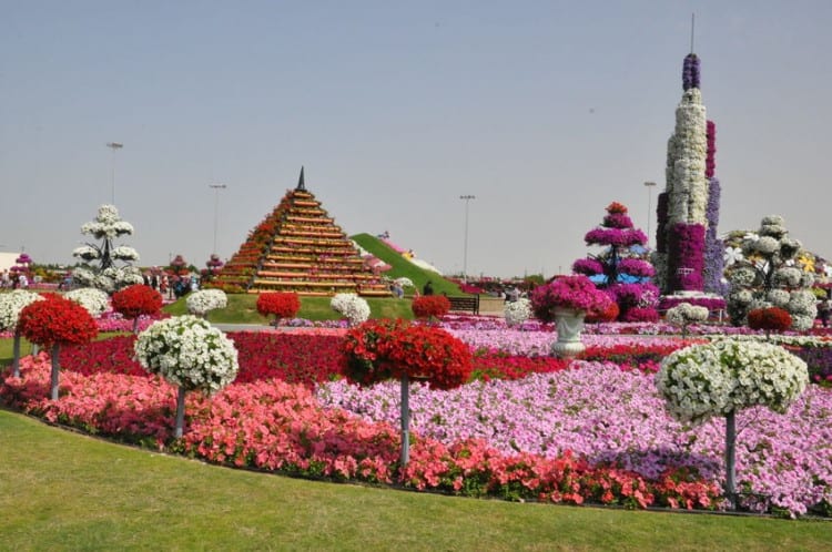 Dubai Miracle Garden