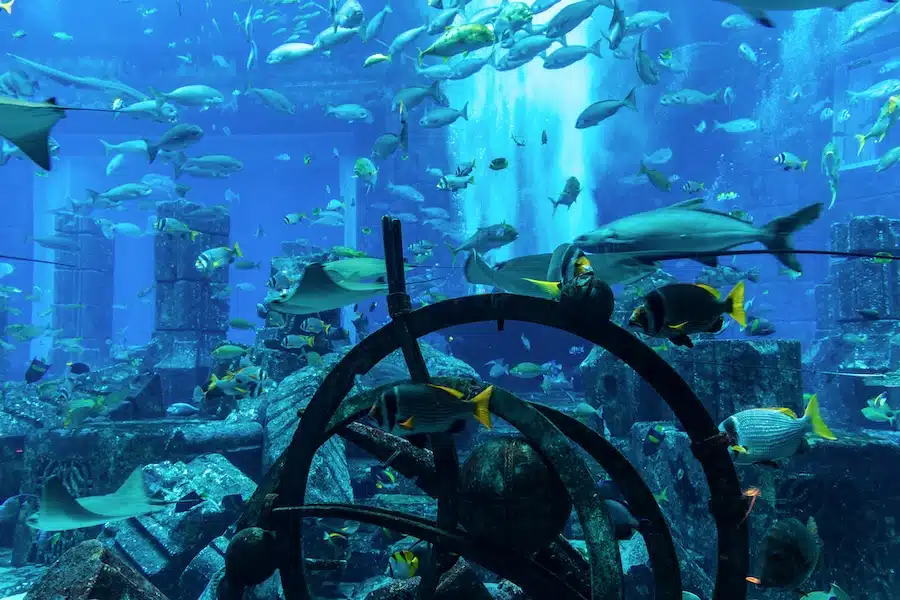 Lost Chambers Aquarium a Palm Jumeirah, Dubai