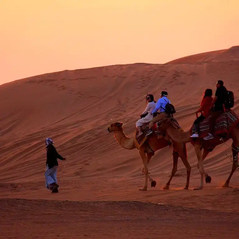 Safari serale nel deserto di Dubai