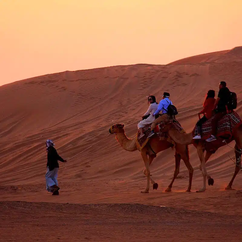 Safari serale nel deserto di Dubai