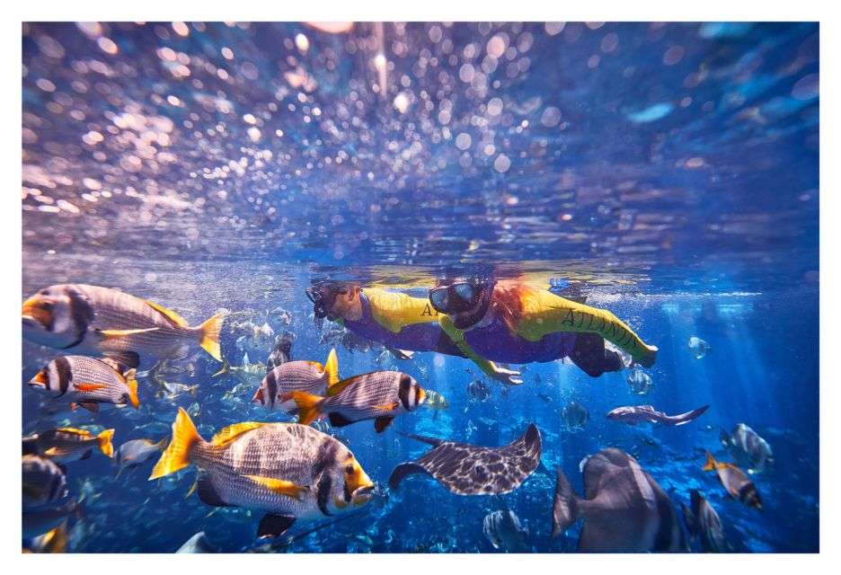 Snorkeling al Lost Chambers Aquarium, Dubai
